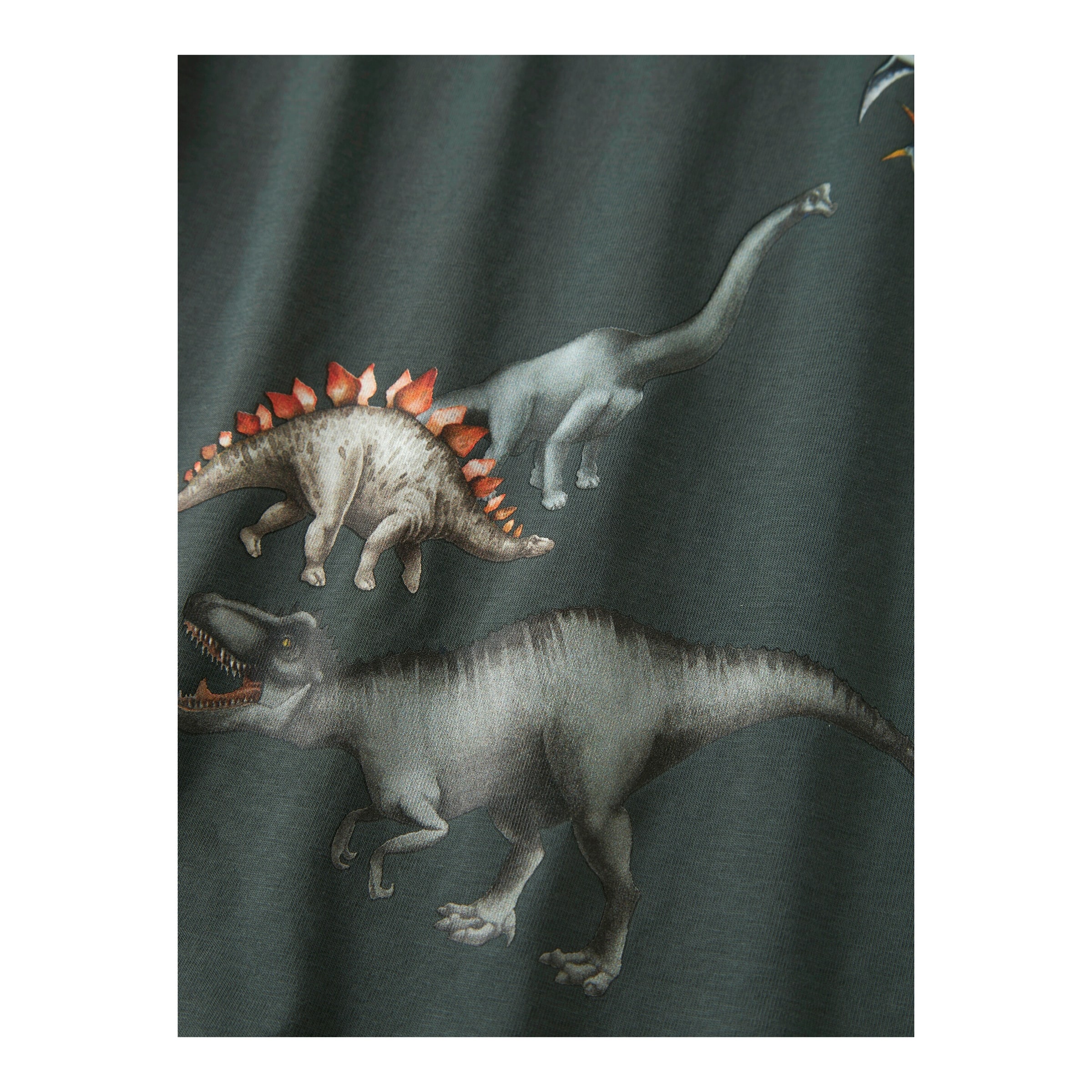 Shirt langarm Dinos