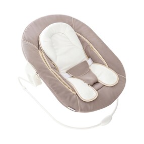 Babywippe Alpha Bouncer 2in1