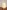 LED Lampe mit Bluetooth Lautsprecher - Vogel