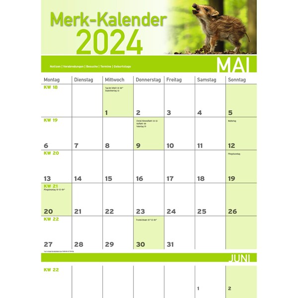 Calendrier 2024 Bebes animaux