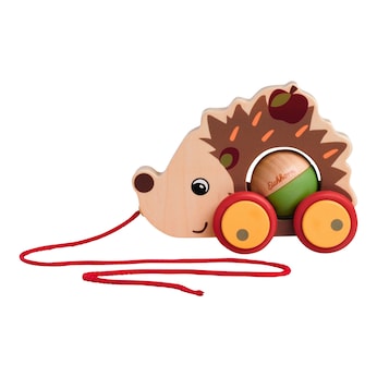 Nachziehtier Igel