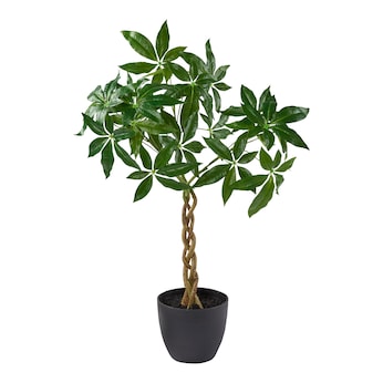 Kunstplant met gevlochten stam