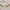 Kinder Teppich Softstar Kids Fantasy Bunt