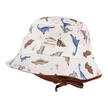 Sonnenhut Dinos