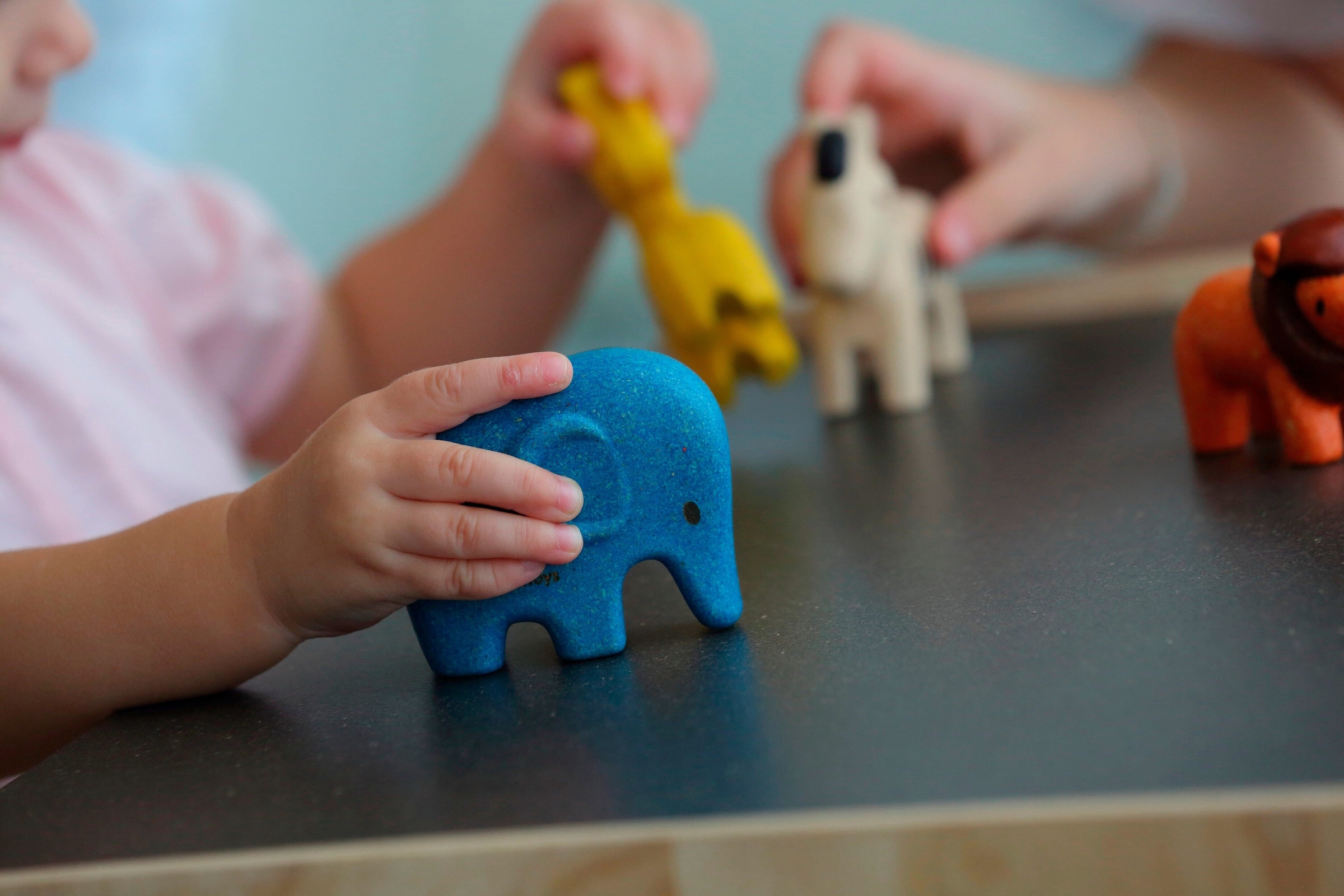 Plantoys Wildtier-Set