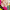 Set Kinderparty-Garnitur mit Bankkissen  