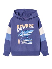 Kapuzensweatshirt mit farbigen ƒrmeln und Prints, Jungen
