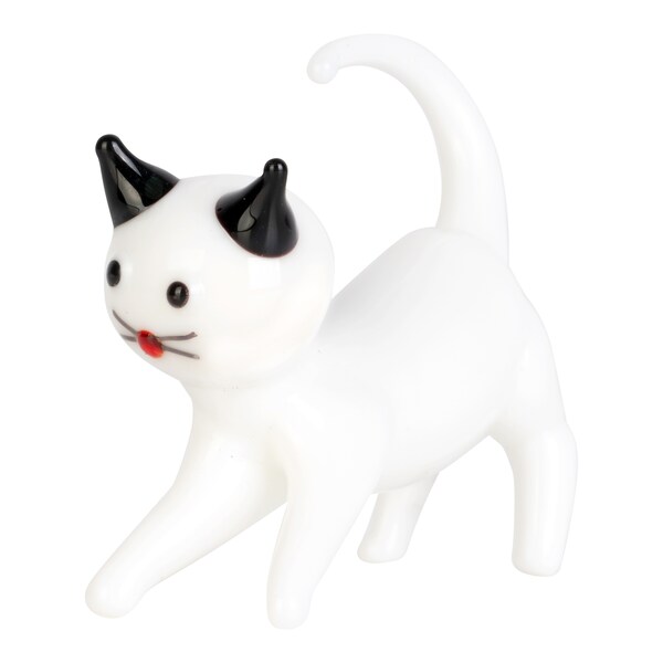 Katze