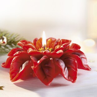 Bougie « Poinsettia »