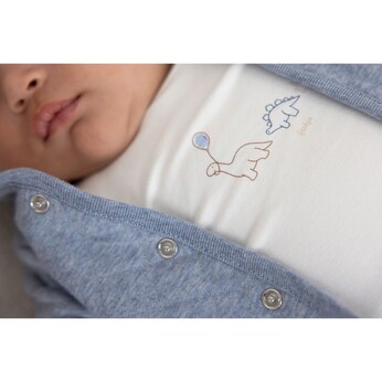Shirt langarm Dinos 