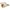 Kinder Teppich Faro Safari Bunt Tiere