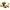 10469 Pizza-Schwestern mit Muffin und Bluey
