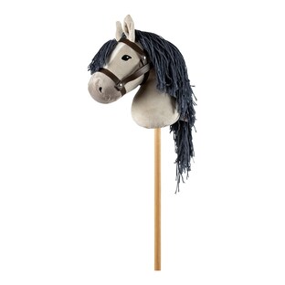 Steckenpferd Hobby Horse