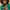 77258 F1 ACADEMY™ LEGO® Rennwagen