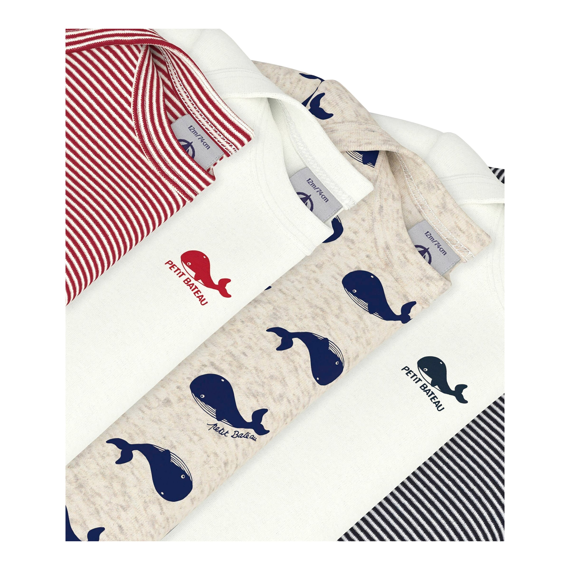 5er-Pack Bodys kurzarm Ringel Wale