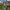 Citybike Sydney 20 Zoll / 24 Zoll