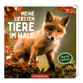 Livre d’images cartonné Meine liebsten Tiere im Wald