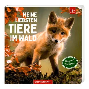 Pappbilderbuch Meine liebsten Tiere im Wald