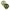 2-er Pack Studio Collection Schnuller Latex, ab 6M