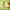 10412 Tierzug