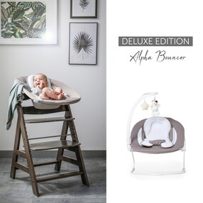 Babywippe Alpha Bouncer 2in1 Deluxe