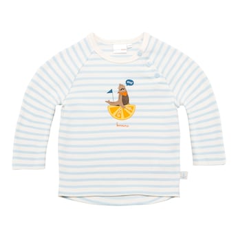Raglanshirt langarm Ringel