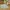 Kinder Super Soft Fellteppich Pearl Kids