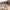 Kinderfahrrad Petitage 12 Zoll