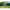Wassersprinkler Maulwurf Moli