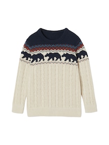 Jungen Jacquard-Pullover mit Zopfmuster