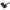Bosch Garten Rotak Rasenmäher mit Licht & Sound