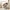 Steckenpferd Kinder Lucky aus Holz