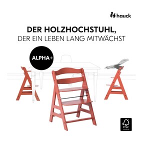 Hochstuhl Alpha +