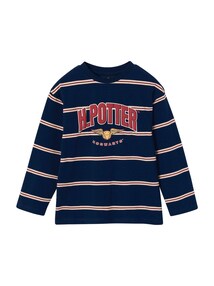 Ringelshirt Jungen HARRY POTTER