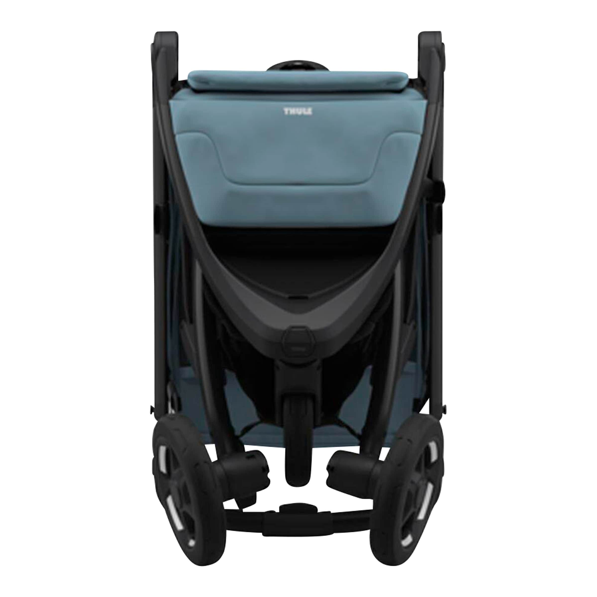 Buggy Spring 2