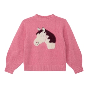 Pullover Pferd