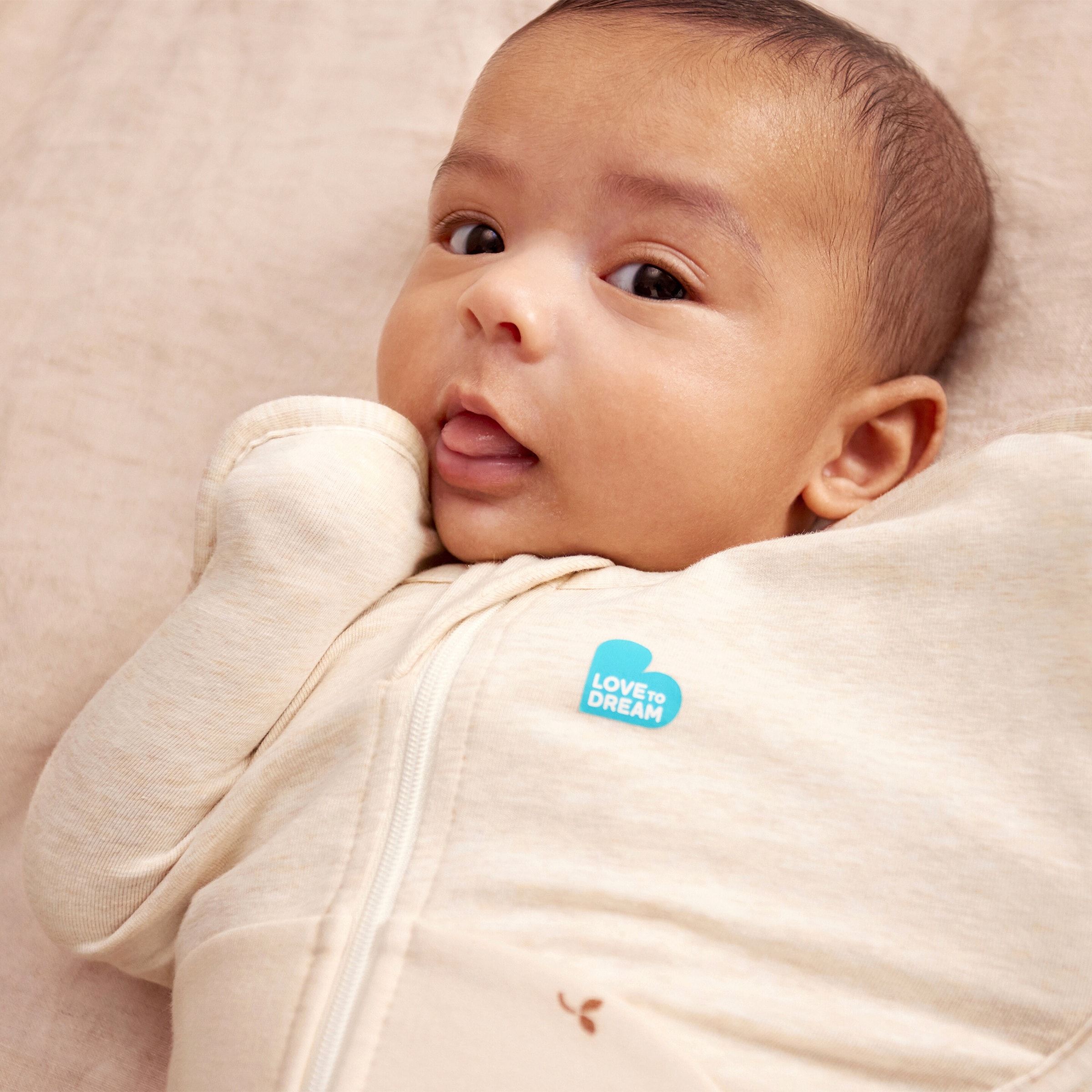 Love To Dream Pucksack Swaddle Up™ 1.5 TOG