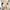 Babynahrungszubereiter und Sterilisator NutribabyPlus