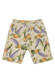Shorts Lamar