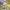 Mountainbike Montreal 20 Zoll / 24 Zoll