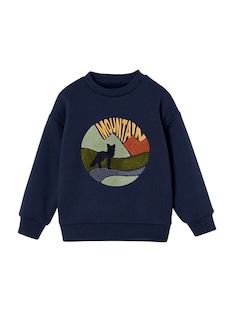 Jungen Sweatshirt mit Fleecefutter und Wolfprint Oeko-Tex