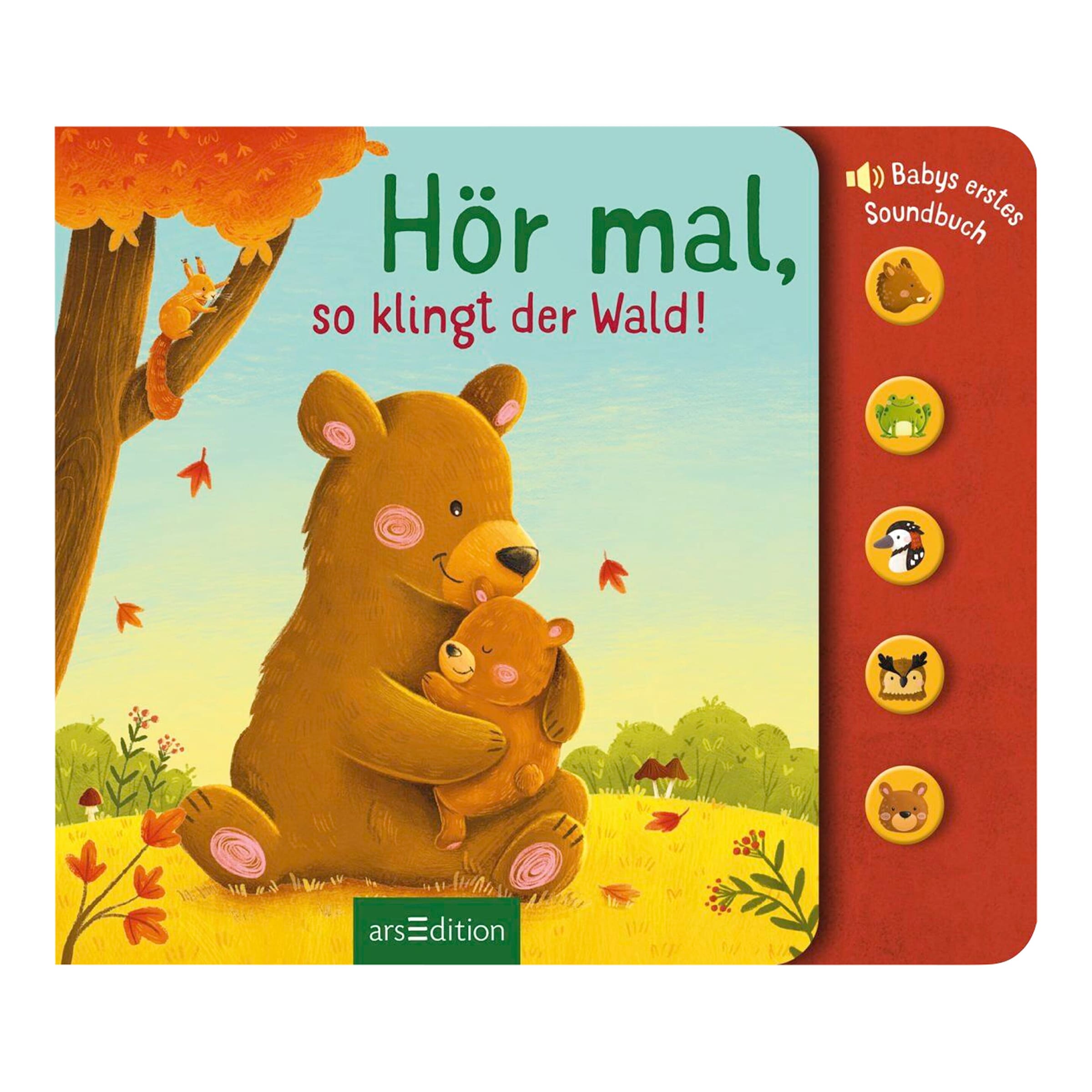Arsedition Soundbilderbuch Hör mal, so klingt der Wald!