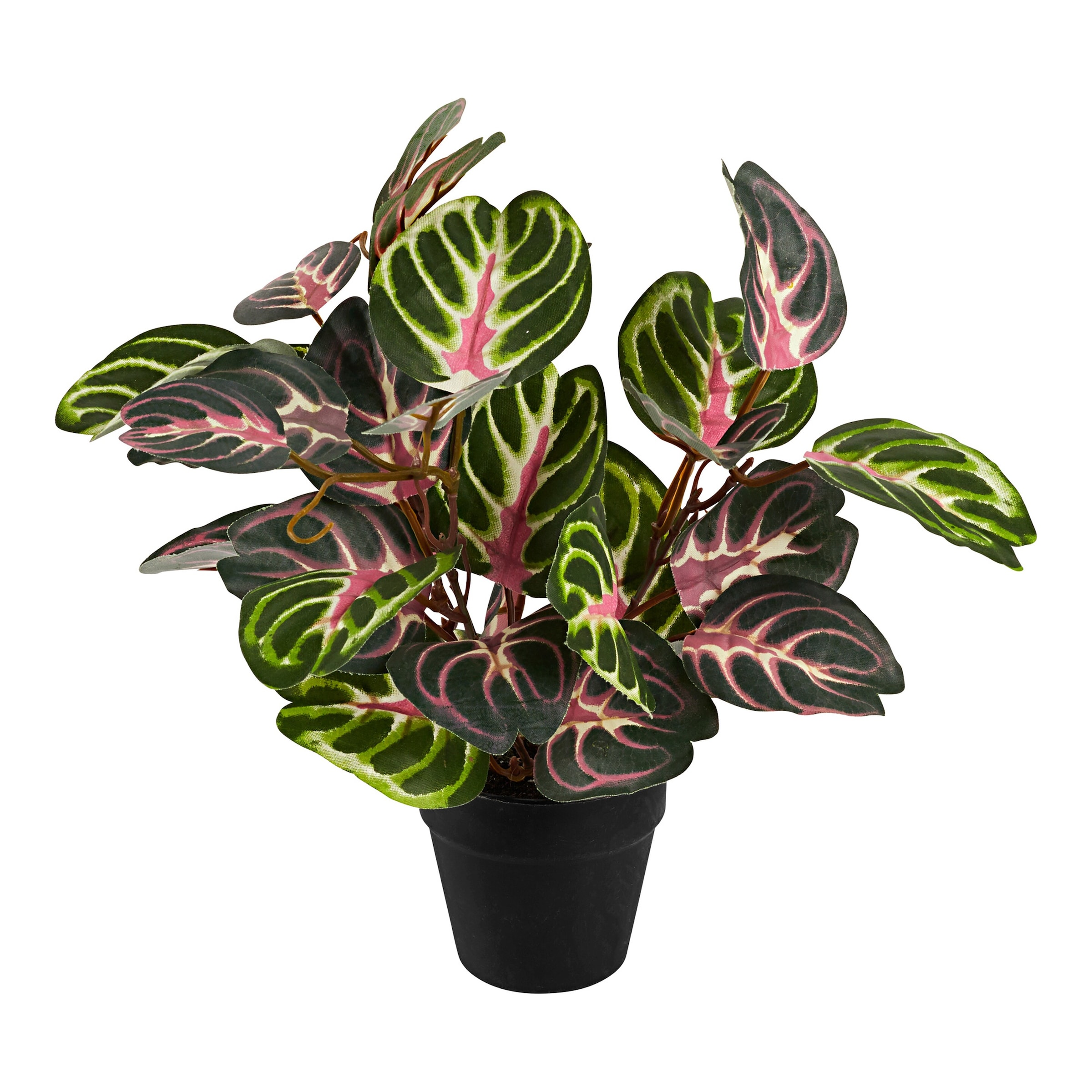 Kunstpflanze "Alocasia"