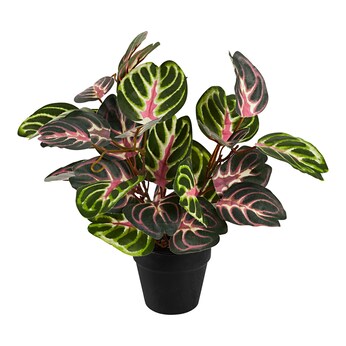 Kunstpflanze "Alocasia"
