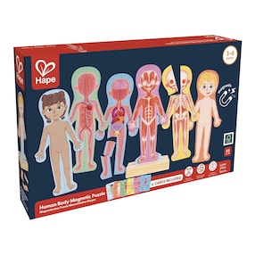 Magnetisches Puzzle - Menschlicher Körper