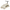 Rutscher Walk n' roll 2in1 ECO