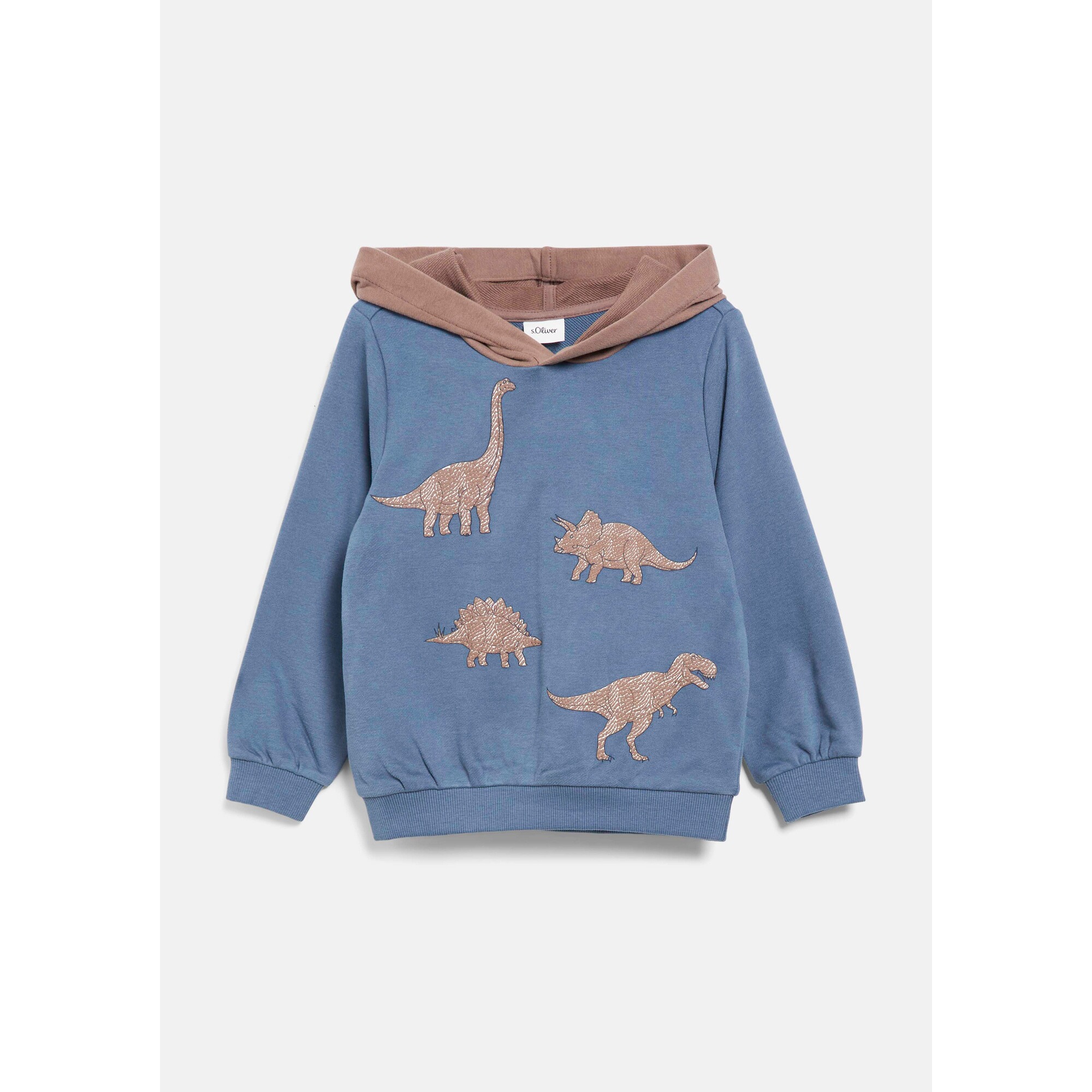 Sweatshirt mit Kapuze Dinos