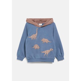Sweatshirt mit Kapuze Dinos