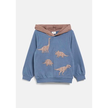 Sweatshirt mit Kapuze Dinos