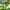 Citybike Sydney 20 Zoll / 24 Zoll